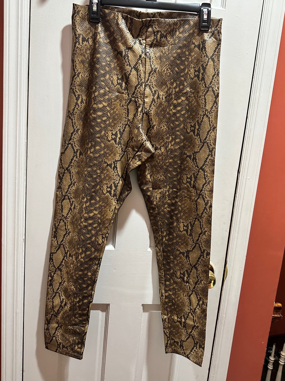 Express Snake-Print Legging in Brown and Black